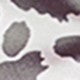https://img.ltwebstatic.com/images3_pi/2024/01/12/30/1705058748e7e759a49a8a59dbccf7276684e0c415.jpg