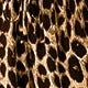 https://img.ltwebstatic.com/images3_pi/2025/03/06/ba/1741239017125b4d8c12f386431c4215b75f02bfa8.jpg